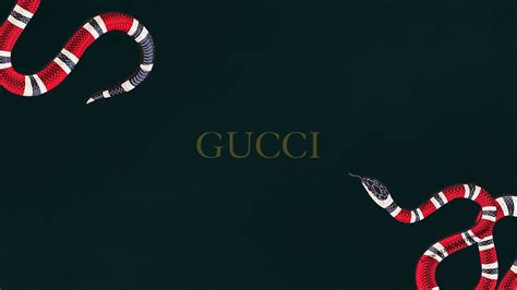 gucci and supreme computer wallpaper